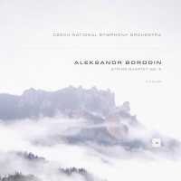 Александр Порфирьевич Бородин, Český národní symfonický orchestr - String Quartet No. 2 in D Major: I. Allegro moderato