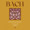 Ленинградский Камерный Оркестр - Бранденбургский концерт No. 3 соль мажор, BWV 1048: I. Allegro