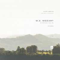 Wolfgang Amadeus Mozart, Classical Archive Stereo Arts - Symphony No. 40 in G Minor, K. 550: I. Molto allegro