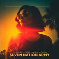 Cynical Cat, PACANI, Andreea Flavia - Seven Nation Army