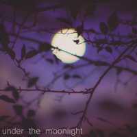 Edmofo - Under the Moonlight