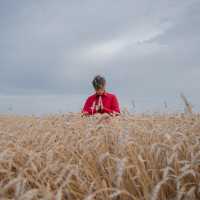 ТОМ КОСМОС - Поле