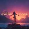 PACANI, Daytune, Miro k - Eye of the Tiger