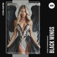 Igor Pumphonia - Black Wings