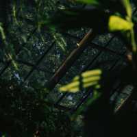 Artem Ramanau, Izzamuzzic - Breathe Again