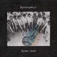 Протоприкус - Бычье Лыко