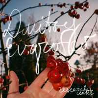 Dmitry Evgrafov - Genau