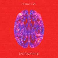 Fireboy DML - Dopamine