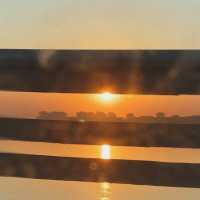 аренда - молодость