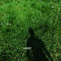 Timis - AUGUST