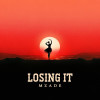 Mzade - Losing it