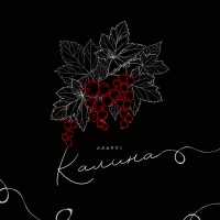 ASAVVI - Калина