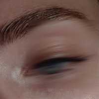 Шефи, ENSCAPE - прощай.