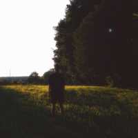 desirenado - я твой эпизод