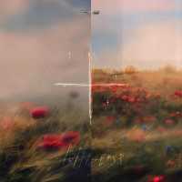 twinsense - биполярный