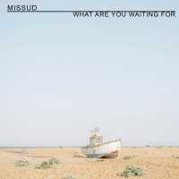 Missud - What Are You Waiting For