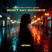NICK MATVEEV, Poshout, VIONEX - Won't Say Goodbye (Extended Mix)