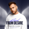 Kolya Funk, Chique - Freed from Desire (Remix)