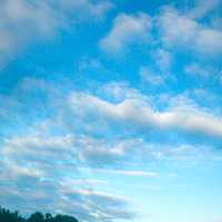 МЕЗАМЕР, Dasha Mist - Маршруты (remix)