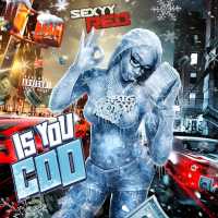 Sexyy Red - Is You Coo