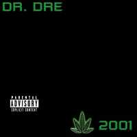 Dr. Dre, Hittman, Ms. Roq, Knoc-Turn'Al, Time Bomb, Koka Kambon, Defari, MC Ren, Xzibit - Some L.A. Niggaz (Album Version (Edited))