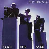 Boytronic - Don't Let Me Down
