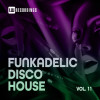 11 - Funkadelic Disco House