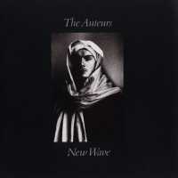 The Auteurs - American Guitars