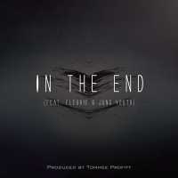 Tommee Profitt, Fleurie, Jung Youth - In The End